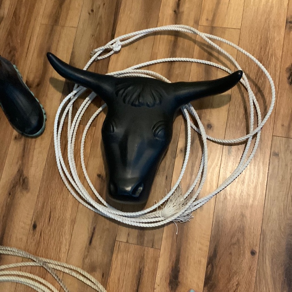 Ai steel tack roping dummy and rope steel rods lost unfortunately